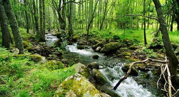 Ruralrut En El Tiemblo Precios Especiales A Partir De 7 Noches, Wifi, Cabina De Hidromasaje, Aire Acondicionado, Zonas De Bano Naturales Cercanas Ngoại thất bức ảnh